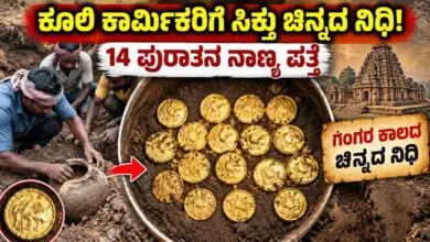 ಕೂಲಿ ಕಾರ್ಮಿಕರ ಕಣ್ಣಿಗೆ ಬಿತ್ತು ಗಂಗರ ಕಾಲದ ಚಿನ್ನದ ನಿಧಿ! 14 ಪುರಾತನ ನಾಣ್ಯ ಪತ್ತೆ