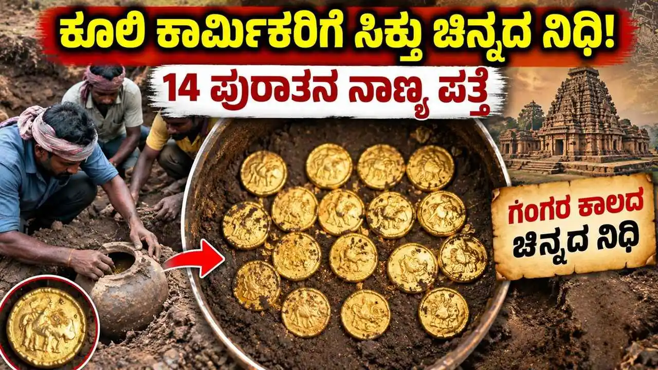ಕೂಲಿ ಕಾರ್ಮಿಕರ ಕಣ್ಣಿಗೆ ಬಿತ್ತು ಗಂಗರ ಕಾಲದ ಚಿನ್ನದ ನಿಧಿ! 14 ಪುರಾತನ ನಾಣ್ಯ ಪತ್ತೆ