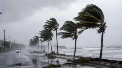 Karnataka Rain