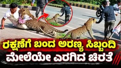 ದಾವಣಗೆರೆ: ರಕ್ಷಣೆಗೆ ಬಂದ ಅರಣ್ಯ ಸಿಬ್ಬಂದಿ ಮೇಲೆಯೇ ಎರಗಿದ ಚಿರತೆ! Video ಇಲ್ಲಿದೆ