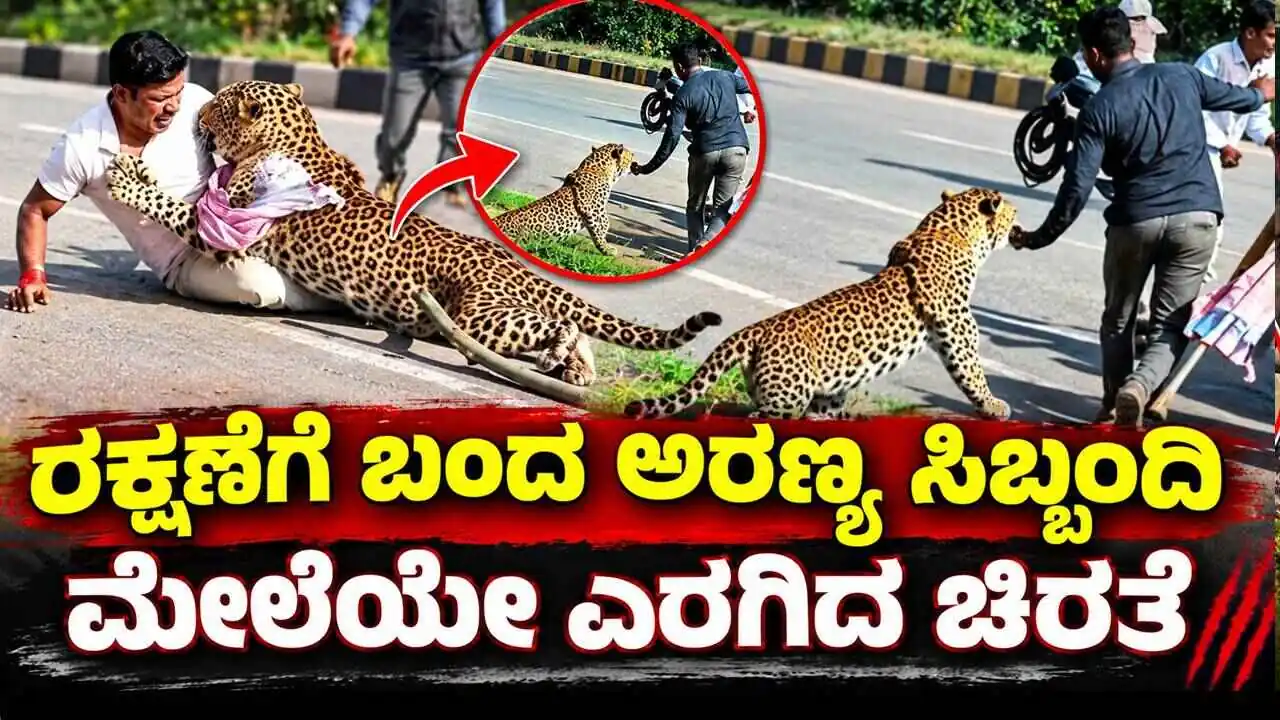 ದಾವಣಗೆರೆ: ರಕ್ಷಣೆಗೆ ಬಂದ ಅರಣ್ಯ ಸಿಬ್ಬಂದಿ ಮೇಲೆಯೇ ಎರಗಿದ ಚಿರತೆ! Video ಇಲ್ಲಿದೆ