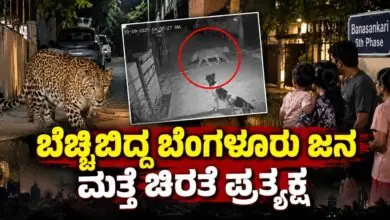 ಬೆಚ್ಚಿಬಿದ್ದ ಬೆಂಗಳೂರು ಜನ! ಮತ್ತೆ ಚಿರತೆ ಪ್ರತ್ಯಕ್ಷ; ದೃಶ್ಯ ಸಿಸಿಟಿವಿಯಲ್ಲಿ ಸೆರೆ