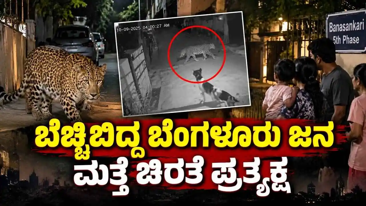 ಬೆಚ್ಚಿಬಿದ್ದ ಬೆಂಗಳೂರು ಜನ! ಮತ್ತೆ ಚಿರತೆ ಪ್ರತ್ಯಕ್ಷ; ದೃಶ್ಯ ಸಿಸಿಟಿವಿಯಲ್ಲಿ ಸೆರೆ