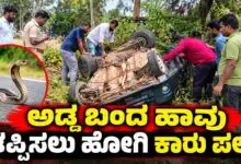 ಅಡ್ಡ ಬಂದ ಹಾವನ್ನು ತಪ್ಪಿಸಲು ಹೋಗಿ ನಿಯಂತ್ರಣ ಕಳೆದುಕೊಂಡ ಕಾರು ಪಲ್ಟಿ