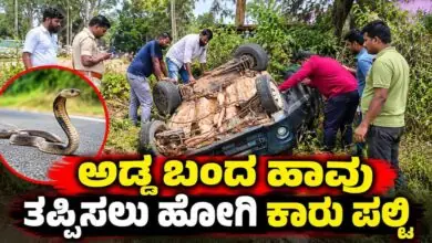 ಅಡ್ಡ ಬಂದ ಹಾವನ್ನು ತಪ್ಪಿಸಲು ಹೋಗಿ ನಿಯಂತ್ರಣ ಕಳೆದುಕೊಂಡ ಕಾರು ಪಲ್ಟಿ