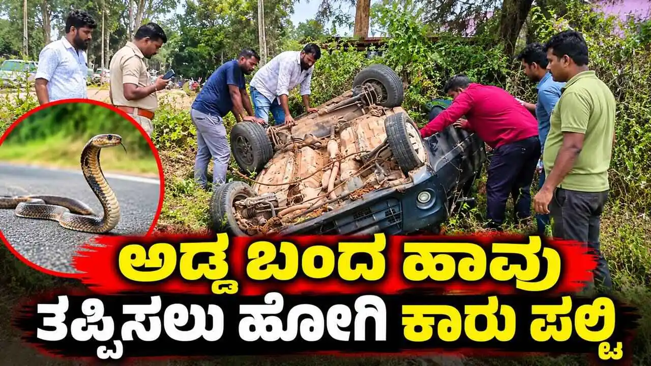 ಅಡ್ಡ ಬಂದ ಹಾವನ್ನು ತಪ್ಪಿಸಲು ಹೋಗಿ ನಿಯಂತ್ರಣ ಕಳೆದುಕೊಂಡ ಕಾರು ಪಲ್ಟಿ