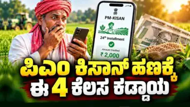 ಪಿಎಂ ಕಿಸಾನ್ ಹಣ ಬೇಕು ಅಂದ್ರೆ ಈ 4 ಕೆಲಸ ಕಡ್ಡಾಯ! ಕೇಂದ್ರದಿಂದ ರೈತರಿಗೆ ಖಡಕ್ ಸೂಚನೆ