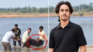 ಬೆಂಗಳೂರಿನ ಹೆಸರಘಟ್ಟ ಕೆರೆಯಲ್ಲಿ ಈಜಲು ಹೋಗಿದ್ದ ಯುವಕ ಸಾವು