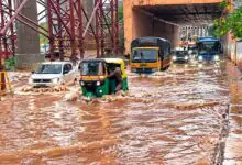 ಬೆಂಗಳೂರು ಮಳೆ ಫಜೀತಿ! ಮರಗಳು ಉರುಳಿ ಬಿದ್ದು ಬಸ್, ಟ್ರಕ್, ಬೈಕ್ ಹಾಗೂ ಕಾರುಗಳು ಜಖಂ