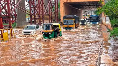 ಬೆಂಗಳೂರು ಮಳೆ ಫಜೀತಿ! ಮರಗಳು ಉರುಳಿ ಬಿದ್ದು ಬಸ್, ಟ್ರಕ್, ಬೈಕ್ ಹಾಗೂ ಕಾರುಗಳು ಜಖಂ