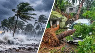 ಮೂವರು ಸಾವು, 31ಕ್ಕೂ ಹೆಚ್ಚು ಮನೆಗಳಿಗೆ ಹಾನಿ! ಅರ್ನಬ್ ಚಂಡಮಾರುತಕ್ಕೆ ಆಂಧ್ರಪ್ರದೇಶ ತತ್ತರ