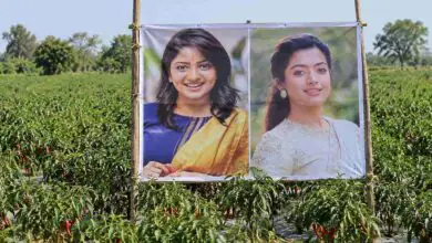 ಮೆಣಸಿನಕಾಯಿ ತೋಟಕ್ಕೆ ರಚಿತಾ ರಾಮ್, ರಶ್ಮಿಕಾ ಮಂದಣ್ಣ ಕಾವಲು! ದೃಷ್ಟಿ ತಾಗದಿರಲು ರೈತನ ಐಡಿಯಾ