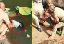 ಬಳ್ಳಾರಿ ಕೋಟೆಯ ಹೊಂಡದಲ್ಲಿ ಮುಳುಗಿ ತಂದೆ-ಮಗ ದಾರುಣ ಸಾವು