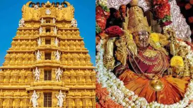 ಮೈಸೂರಿನ ಚಾಮುಂಡಿಬೆಟ್ಟದಲ್ಲಿ ಅಕ್ಟೋಬರ್ 28ರವರೆಗೆ ಭಕ್ತರಿಗೆ ಉಚಿತ ದರ್ಶನ