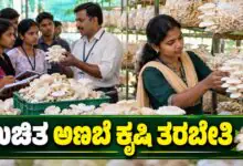 ಬೆಂಗಳೂರು: ಉಚಿತ ಅಣಬೆ ಕೃಷಿ ತರಬೇತಿಗೆ ಅರ್ಜಿ ಆಹ್ವಾನ! ಮನೆಯಲ್ಲೇ ಸ್ವಂತ ಉದ್ಯಮ ಶುರು ಮಾಡಿ