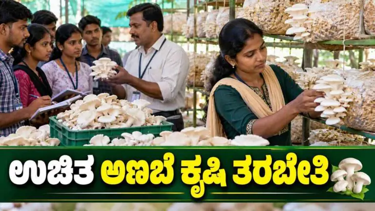 ಬೆಂಗಳೂರು: ಉಚಿತ ಅಣಬೆ ಕೃಷಿ ತರಬೇತಿಗೆ ಅರ್ಜಿ ಆಹ್ವಾನ! ಮನೆಯಲ್ಲೇ ಸ್ವಂತ ಉದ್ಯಮ ಶುರು ಮಾಡಿ