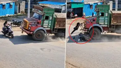 Video: ಯುವತಿಯ ಸ್ಕೂಟಿಗೆ ಲಾರಿ ಡಿಕ್ಕಿ; ಬಂಪರ್ ಹಿಡಿದು ಪ್ರಾಣ ಉಳಿಸಿಕೊಂಡ ಗಟ್ಟಿಗಿತ್ತಿ