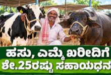 ಹಸು, ಎಮ್ಮೆ ಖರೀದಿಗೆ ಶೇ.25ರಷ್ಟು ಸಹಾಯಧನ! ಹೈನುಗಾರಿಕೆಗೆ ಸರ್ಕಾರದ ಪ್ರೋತ್ಸಾಹ