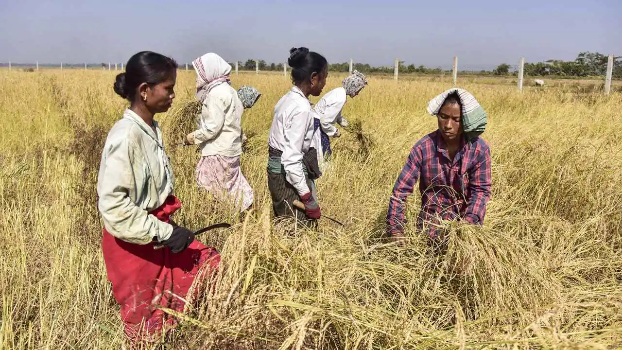Govt Announce Relif to Farmers