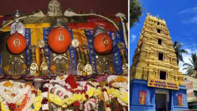ವರ್ಷಕ್ಕೊಮ್ಮೆ ದರ್ಶನ ಭಾಗ್ಯ; ಹಾಸನಾಂಬೆ ದರ್ಶನಕ್ಕೆ ಭಕ್ತರಿಗೆ ಸಮಯ ನಿಗದಿ! ಇಲ್ಲಿದೆ ಮಾಹಿತಿ