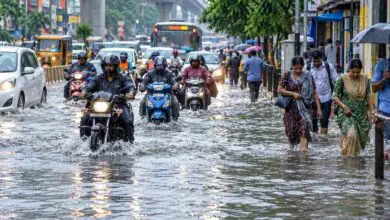 ಚೆನ್ನೈನಲ್ಲಿ ರಾತ್ರಿ ಪೂರ್ತಿ ಭಾರೀ ಮಳೆ; ತಗ್ಗು ಪ್ರದೇಶಗಳು ಜಲಾವೃತ! ಮರಗಳು ಧರೆಗುರುಳಿ ಸಂಚಾರ ಅಸ್ತವ್ಯಸ್ತ