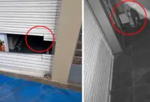ಬೆಂಗಳೂರು: ಹೊಸಕೋಟೆ ಮೊಬೈಲ್ ಅಂಗಡಿ ಶಟರ್ ಕತ್ತರಿಸಿ ಕಳ್ಳತನ; ಲಕ್ಷಾಂತರ ಮೌಲ್ಯದ ಮೊಬೈಲ್ ಕಳವು