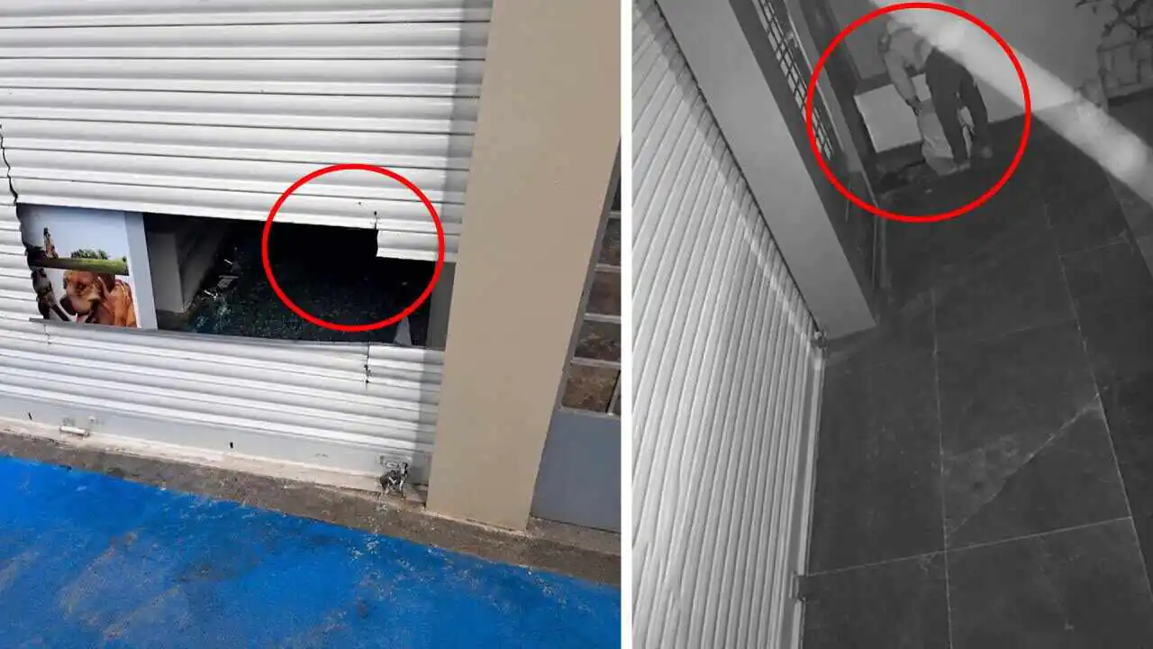 ಬೆಂಗಳೂರು: ಹೊಸಕೋಟೆ ಮೊಬೈಲ್ ಅಂಗಡಿ ಶಟರ್ ಕತ್ತರಿಸಿ ಕಳ್ಳತನ; ಲಕ್ಷಾಂತರ ಮೌಲ್ಯದ ಮೊಬೈಲ್ ಕಳವು