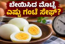 ಬೇಯಿಸಿದ ಮೊಟ್ಟೆ ಎಷ್ಟು ಗಂಟೆ ಸೇಫ್? ಜಾಸ್ತಿ ಹೊತ್ತು ಹೊರಗಿಟ್ಟರೆ ಏನಾಗುತ್ತೆ ಗೊತ್ತಾ?