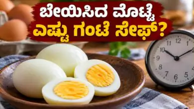 ಬೇಯಿಸಿದ ಮೊಟ್ಟೆ ಎಷ್ಟು ಗಂಟೆ ಸೇಫ್? ಜಾಸ್ತಿ ಹೊತ್ತು ಹೊರಗಿಟ್ಟರೆ ಏನಾಗುತ್ತೆ ಗೊತ್ತಾ?