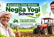ರೈತರಿಗೆ ಕರ್ನಾಟಕ ರಾಜ್ಯೋತ್ಸವ ಗಿಫ್ಟ್‌! ನ.1ಕ್ಕೆ ನೇಗಿಲ ಯೋಗಿ ಯೋಜನೆ ಆರಂಭ