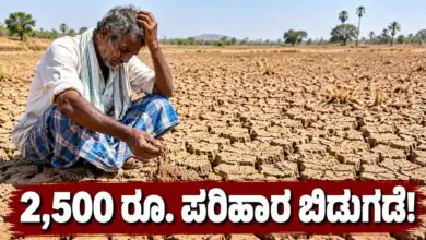ರಾಜ್ಯದಲ್ಲಿ ಭೀಕರ ಬರ ಪರಿಸ್ಥಿತಿ, ಶೇ.90ರಷ್ಟು ಬೆಳೆ ಹಾನಿ! 2,500 ರೂಪಾಯಿ ಮೊದಲ ಕಂತಿನ ಪರಿಹಾರ ಬಿಡುಗಡೆಗೆ ಕ್ರಮ