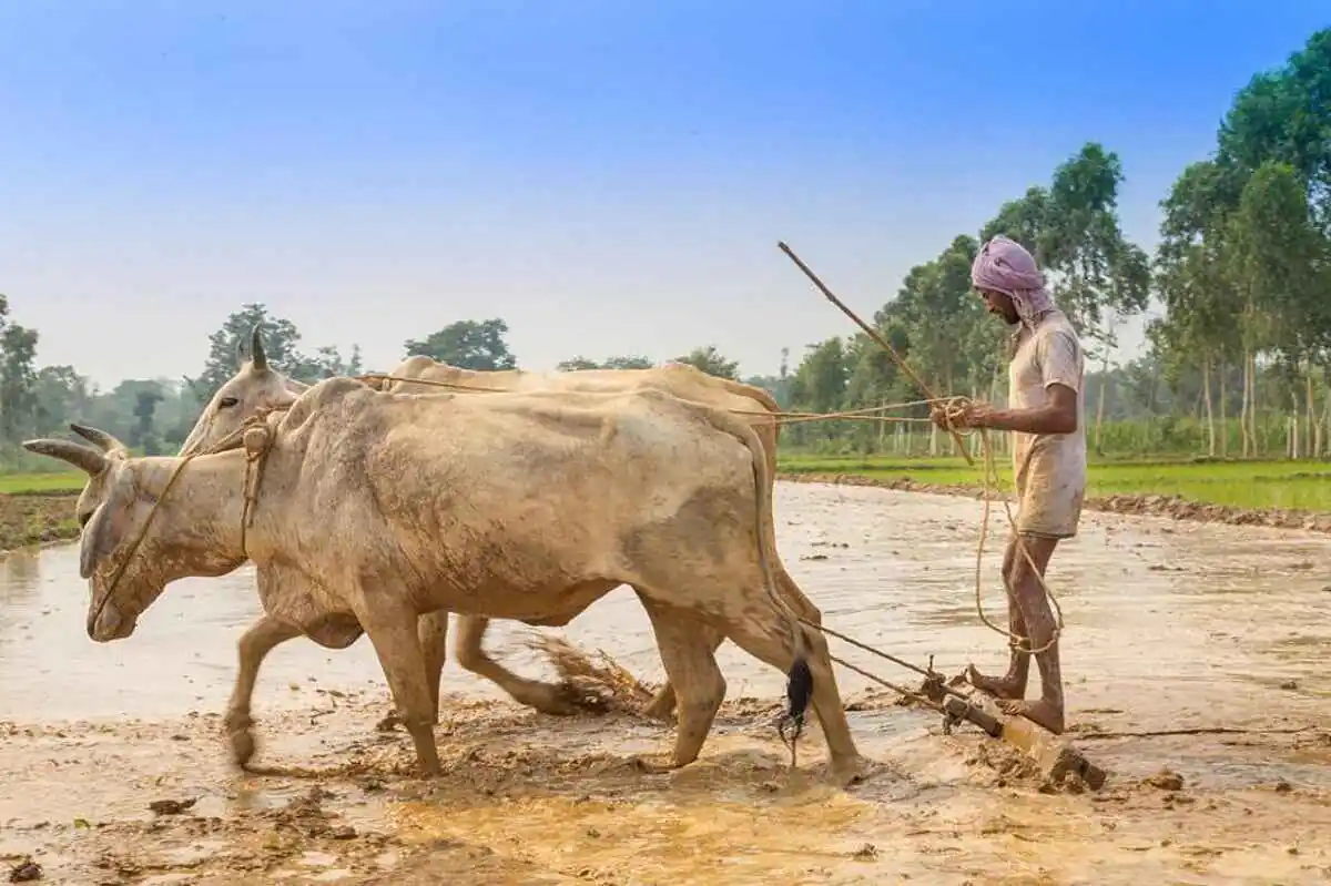 Karnataka Farmer Scheme Update