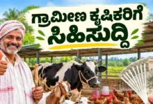 ಸಿಹಿಸುದ್ದಿ: ಭೂರಹಿತ ಕರ್ನಾಟಕ ಗ್ರಾಮೀಣ ಕೃಷಿಕರಿಗೆ ಹಸು, ಕುರಿ, ಕೋಳಿ ಸಾಕಾಣಿಕೆಗೆ ಸರ್ಕಾರದಿಂದ ನೆರವು