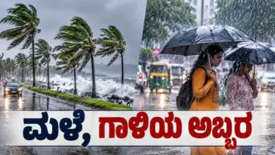 ಕರ್ನಾಟಕ ಹವಾಮಾನ: ಬೆಂಗಳೂರು, ಹಾಸನ, ಮೈಸೂರು ಸೇರಿ ಈ 8 ಜಿಲ್ಲೆಗಳಲ್ಲಿ ಮಳೆ, ಗಾಳಿಯ ಅಬ್ಬರ