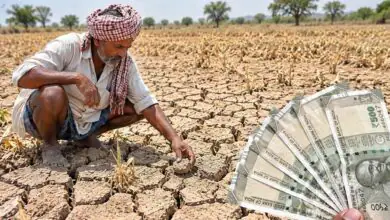 ದೀಪಾವಳಿಗೂ ಮುನ್ನವೇ ರೈತರಿಗೆ ಸರ್ಕಾರದ ₹5,000 ನೆರವು; ಬರ ಪರಿಹಾರ ಘೋಷಿಸಿದ ಮಹಾರಾಷ್ಟ್ರ