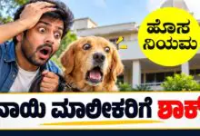 ಸಾಕು ನಾಯಿಯನ್ನು ರಸ್ತೆಗೆ ಬಿಟ್ಟರೆ ಹುಷಾರ್! 50,000 ದಂಡದ ಜೊತೆಗೆ ಜೈಲು ಶಿಕ್ಷೆಯೂ ಸಾಧ್ಯ