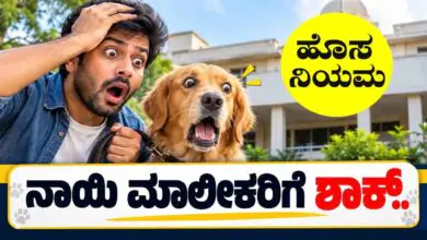 ಸಾಕು ನಾಯಿಯನ್ನು ರಸ್ತೆಗೆ ಬಿಟ್ಟರೆ ಹುಷಾರ್! 50,000 ದಂಡದ ಜೊತೆಗೆ ಜೈಲು ಶಿಕ್ಷೆಯೂ ಸಾಧ್ಯ