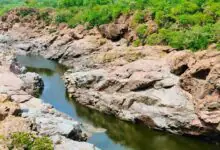 ಮೇಕೆದಾಟು ಅಣೆಕಟ್ಟು ನಿರ್ಮಾಣಕ್ಕೆ ಕರ್ನಾಟಕ ಸರ್ಕಾರದ ಸಿದ್ಧತೆ ಚುರುಕು