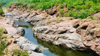 ಮೇಕೆದಾಟು ಅಣೆಕಟ್ಟು ನಿರ್ಮಾಣಕ್ಕೆ ಕರ್ನಾಟಕ ಸರ್ಕಾರದ ಸಿದ್ಧತೆ ಚುರುಕು