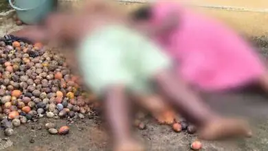 ಘೋರ ದುರಂತ: ವಿದ್ಯುತ್ ಶಾಕ್ಗೆ ತಾಯಿ-ಮಗ ದಾರುಣ ಸಾವು