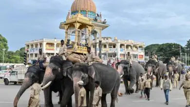 ಮೈಸೂರು ದಸರಾ: ಜಂಬೂಸವಾರಿ ಗಜಪಡೆಯ ನಾಯಕ ಪ್ರಶಾಂತ, ಮೆರವಣಿಗೆಯ 12 ಆನೆಗಳ ಪಟ್ಟಿ ಫೈನಲ್
