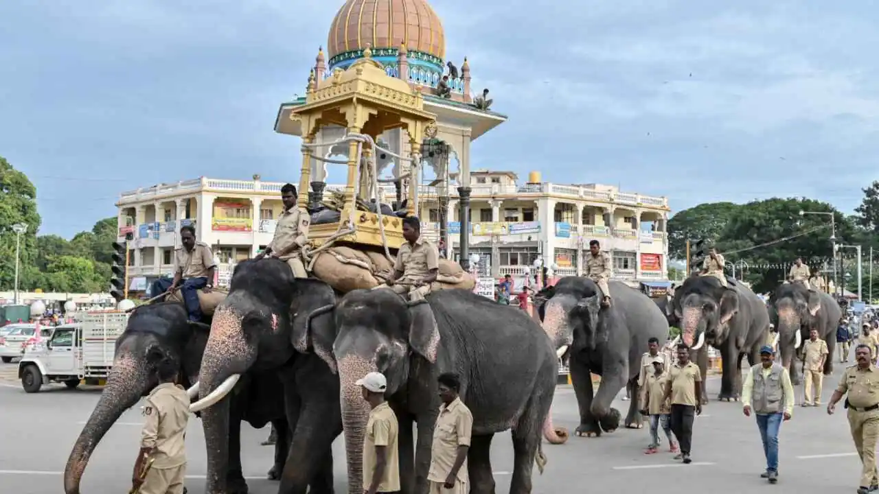 ಮೈಸೂರು ದಸರಾ: ಜಂಬೂಸವಾರಿ ಗಜಪಡೆಯ ನಾಯಕ ಪ್ರಶಾಂತ, ಮೆರವಣಿಗೆಯ 12 ಆನೆಗಳ ಪಟ್ಟಿ ಫೈನಲ್