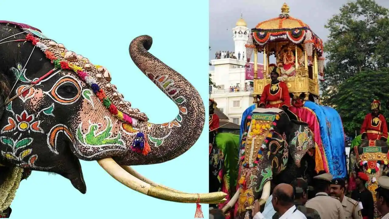 ಮೈಸೂರು ದಸರಾ 2026 ಮಹೋತ್ಸವ; ನಾಳೆ ಜಂಬೂಸವಾರಿ ಮೆರವಣಿಗೆಗೆ ಸಕಲ ಸಿದ್ಧತೆ