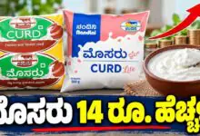 ಹಾಲಿನ ಬೆನ್ನಲ್ಲೇ ಮೊಸರು ದರ ಏರಿಕೆ; ಲೀಟರ್ಗೆ ಬರೋಬ್ಬರಿ ₹14 ರೂಪಾಯಿ ಹೆಚ್ಚಳ