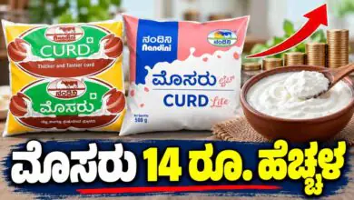 ಹಾಲಿನ ಬೆನ್ನಲ್ಲೇ ಮೊಸರು ದರ ಏರಿಕೆ; ಲೀಟರ್ಗೆ ಬರೋಬ್ಬರಿ ₹14 ರೂಪಾಯಿ ಹೆಚ್ಚಳ