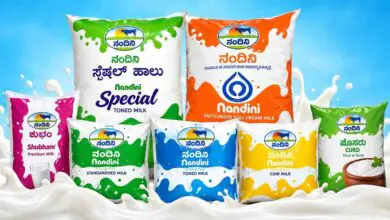 ನಾಳೆಯಿಂದ ನಂದಿನಿ ಹಾಲು, ಮೊಸರು ದುಬಾರಿ: ಹೊಸ ದರಗಳ ಪಟ್ಟಿ ಇಲ್ಲಿದೆ