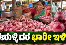 ಈರುಳ್ಳಿ ದರದಲ್ಲಿ ಭಾರೀ ಇಳಿಕೆ: ಹಬ್ಬಕ್ಕೂ ಮುನ್ನ ಮತ್ತೊಂದು ಸಿಹಿಸುದ್ದಿ!