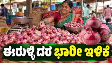 ಈರುಳ್ಳಿ ದರದಲ್ಲಿ ಭಾರೀ ಇಳಿಕೆ: ಹಬ್ಬಕ್ಕೂ ಮುನ್ನ ಮತ್ತೊಂದು ಸಿಹಿಸುದ್ದಿ!