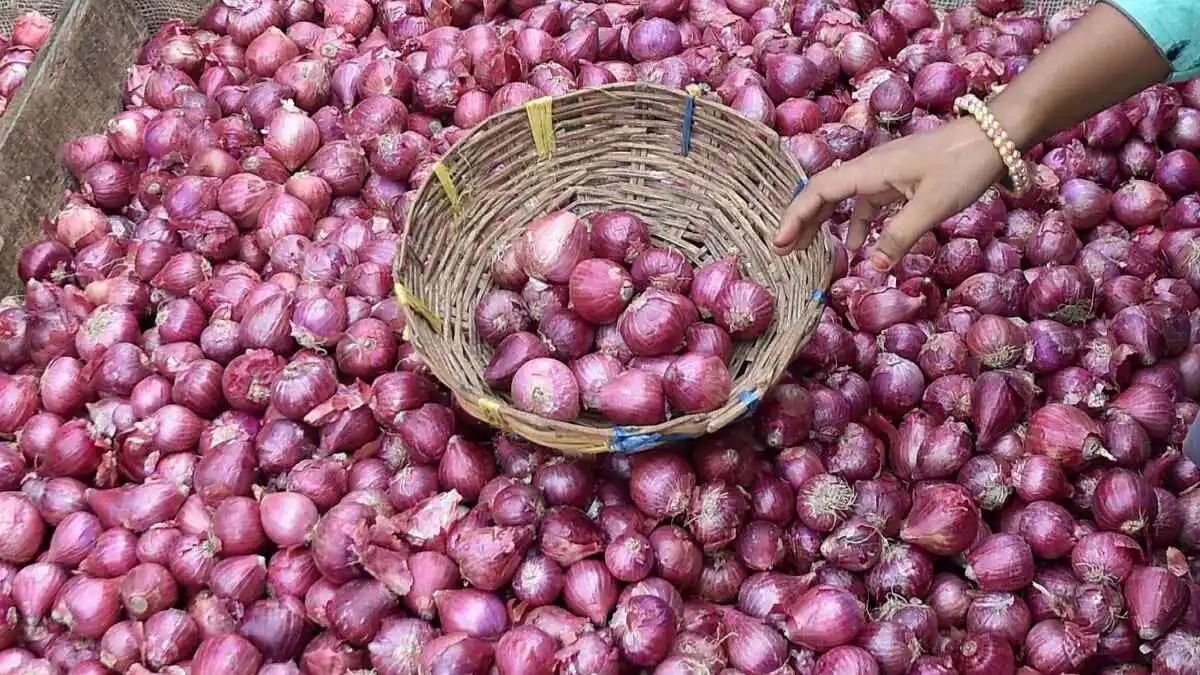 Onion Prices