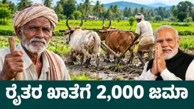 ದಸರಾ ಹಬ್ಬಕ್ಕೆ, ರೈತರ ಖಾತೆಗೆ ಬರಲಿದೆ 2,000 ಪಿಎಂ ಕಿಸಾನ್ ಹಣ! ಬಿಗ್ ಅಪ್ಡೇಟ್